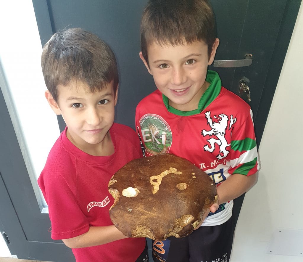 Ordiarp Miroir de la Soule