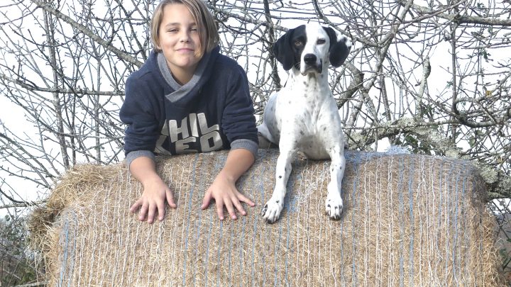 LA FERME JOYEUSE EST A ANGOUS