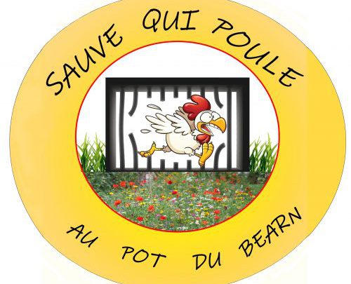 SAUVE QUI POULE