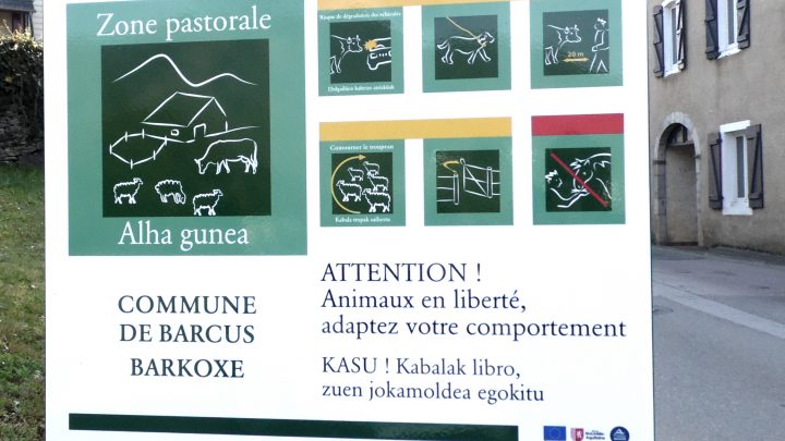 ZONE PASTORALE