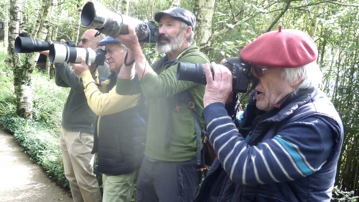 Zoomauléon photo 64