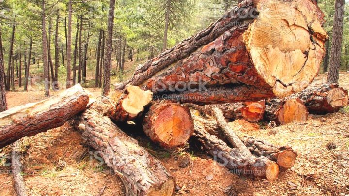 COMMISSION SYNDICALE