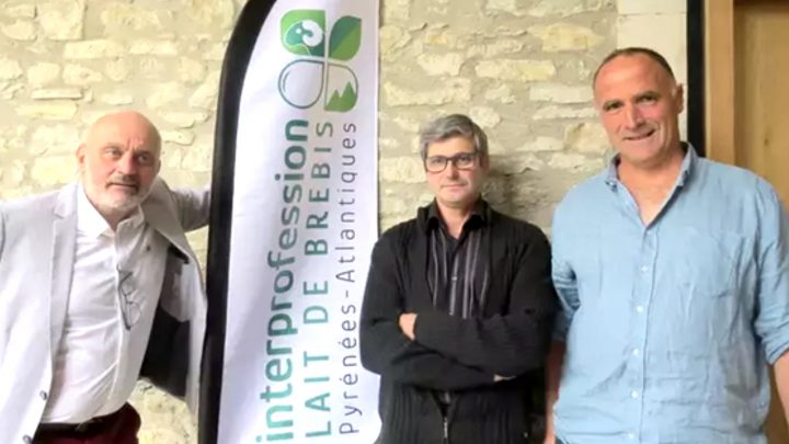 L’interprofession lait de brebis…