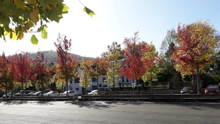 Conseil municipal de Mauléon