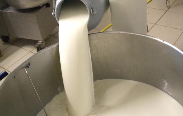 Producteurs de lait de brebis