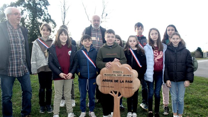 ILS ONT PLANTE L’ARBRE DE LA PAIX