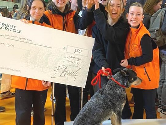 DES NOUVELLES DU LARPS