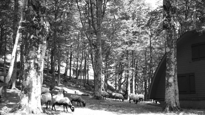 COMMISSION SYNDICALE