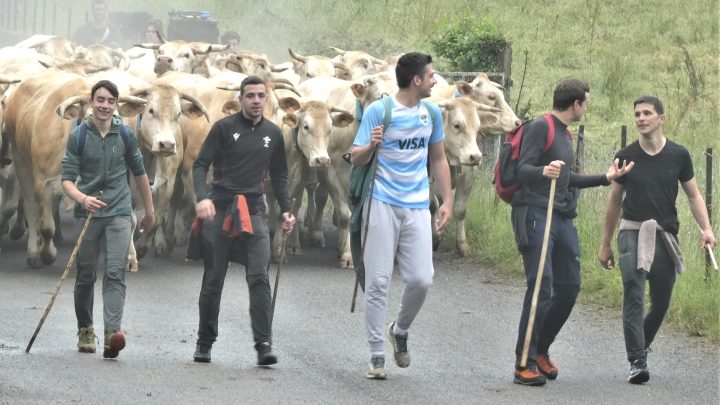 Ambiance à Ibar Naba !