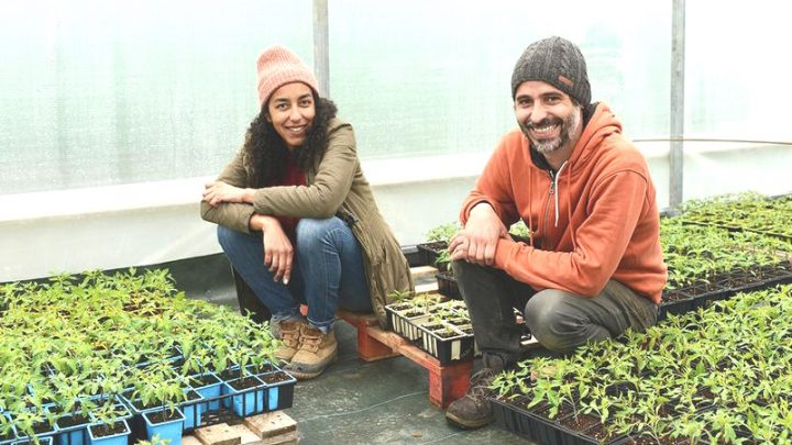 LA NOUVELLE VIE DE VIRGINIA ET MATHIEU