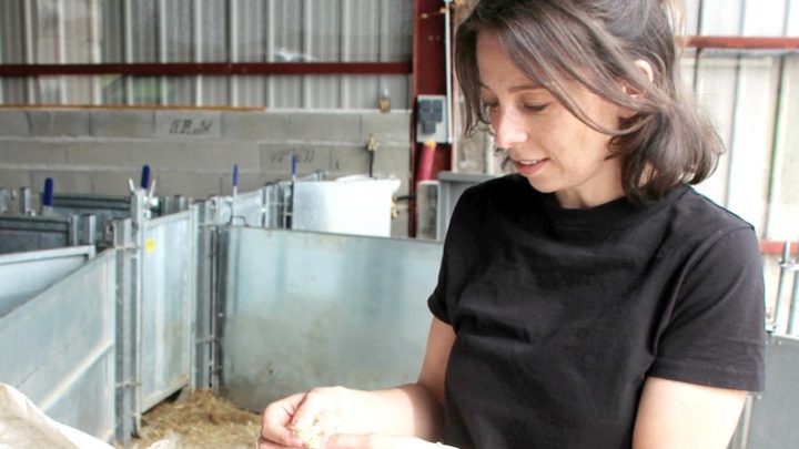 UNE SOULETINE HONOREE !