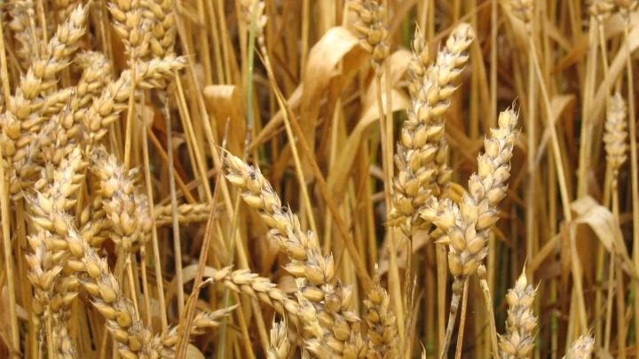 La campagne 2023 est lancée !