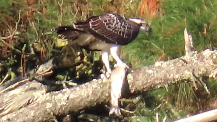 Bien vu et quel timing !