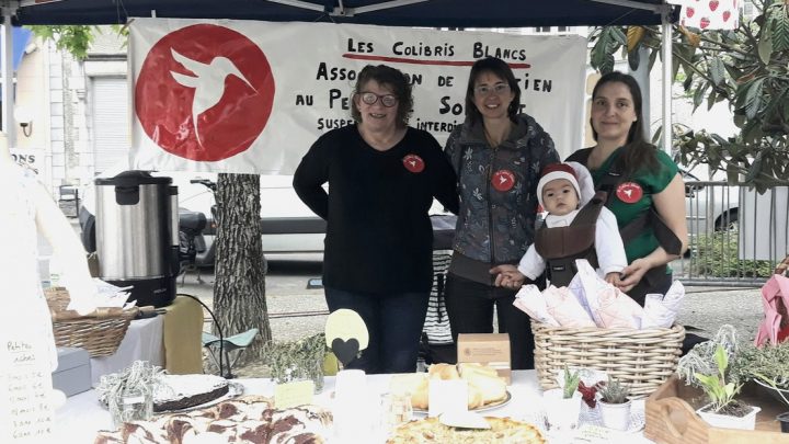 Bilan des Colibris blancs