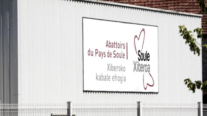 Aide aux abattoirs de Mauléon