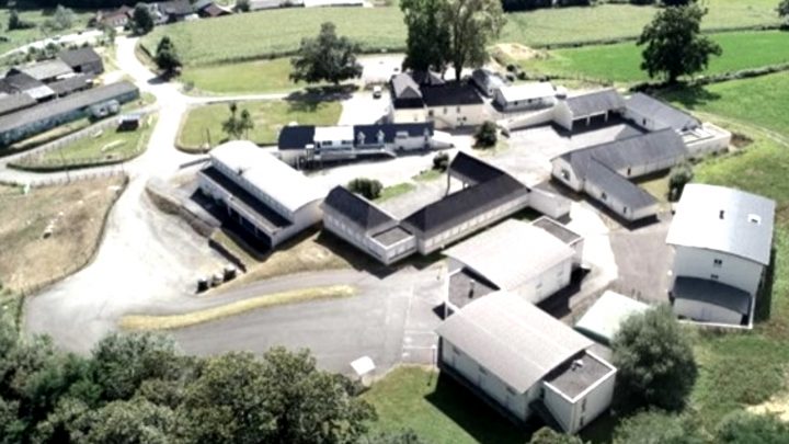 Marché gourmand au LARPS