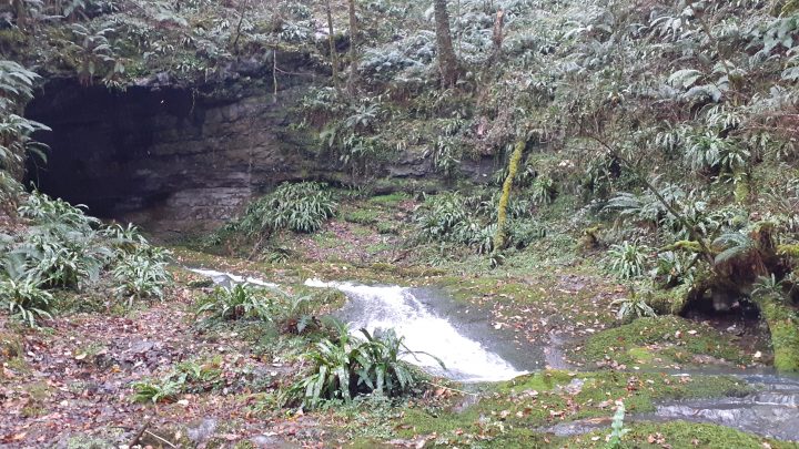 Nature… notre santé