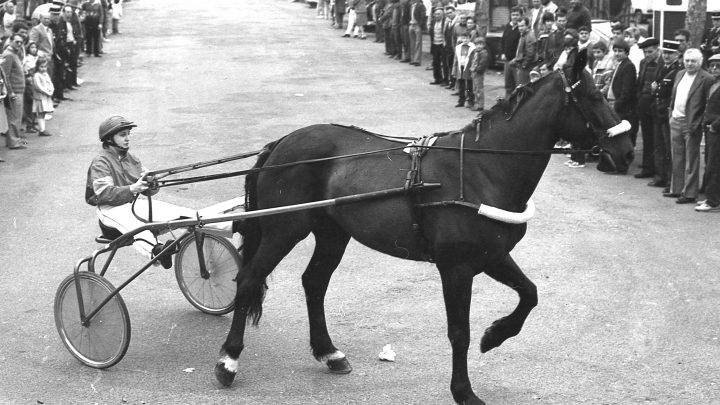 15 avril 1984