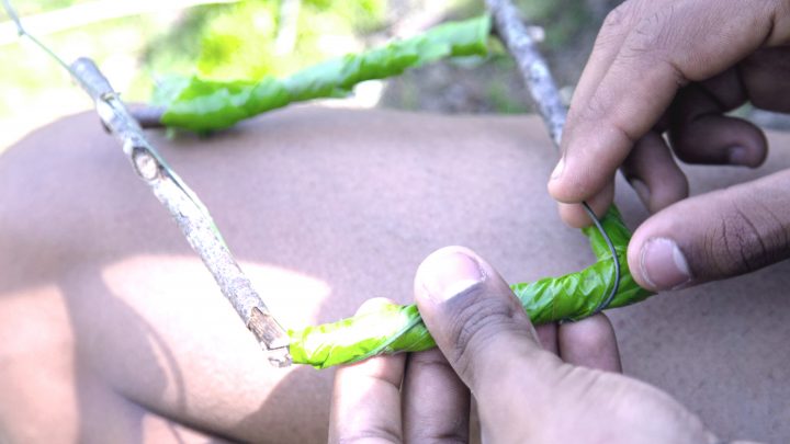 Une initiation aux pratiques artistiques
