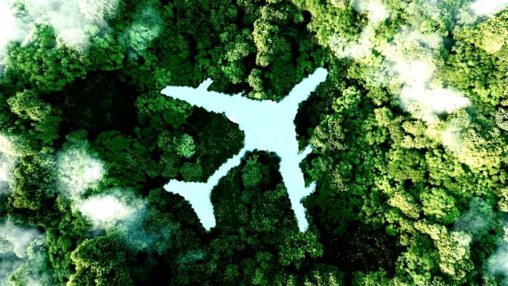 E CHO un grand consommateur deau et de bois pour laviation bis