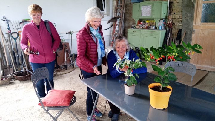atelier perma oct 24