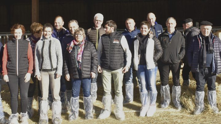 Des abattages forcés en Soule !