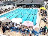 Le SAM Natation démarre en fanfare ! 2 PiscineMauleonCompetition