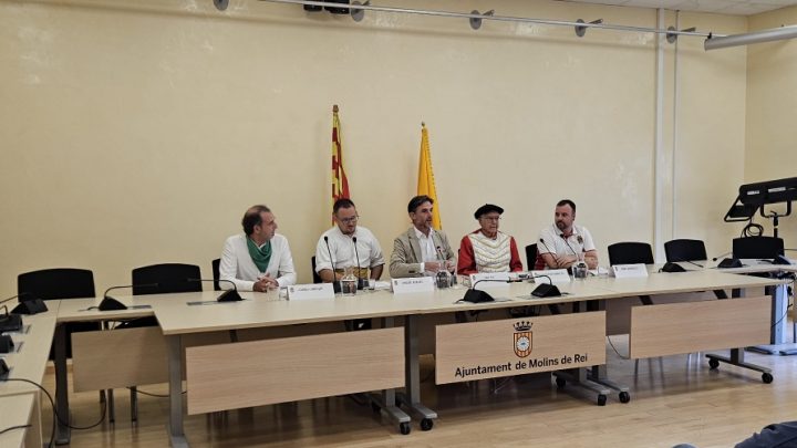 Xiberoko Erraldoiak : Les Géants de la Soule