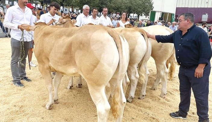 L’ELEVAGE A L’HONNEUR