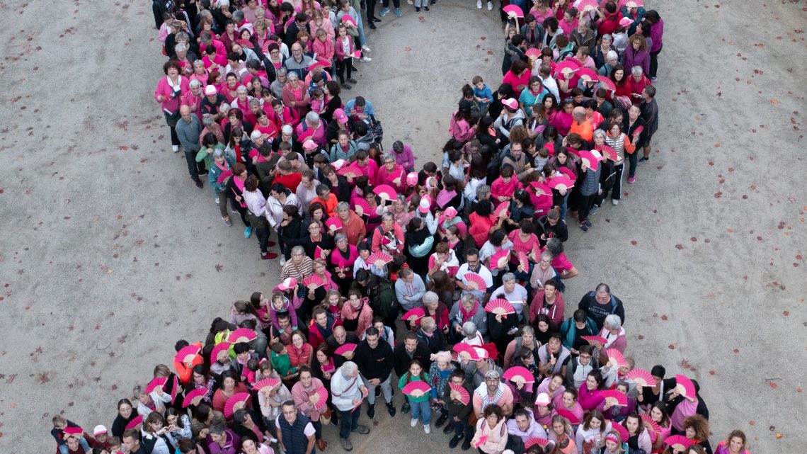 Photo B OCTOBRE ROSE