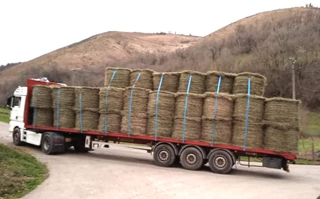 L’AVENIR DE LA LAINE EN QUESTION