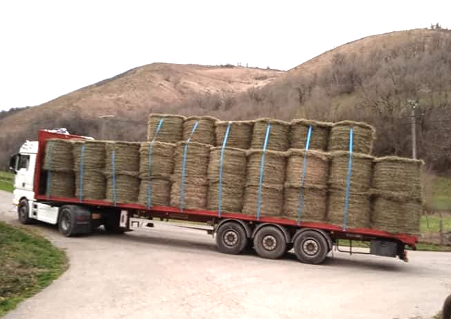 L’AVENIR DE LA LAINE EN QUESTION