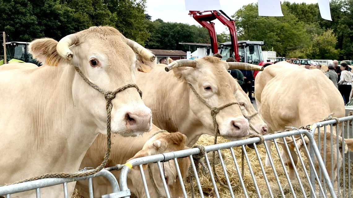 CONSEIL COMMUNAUTAIRE