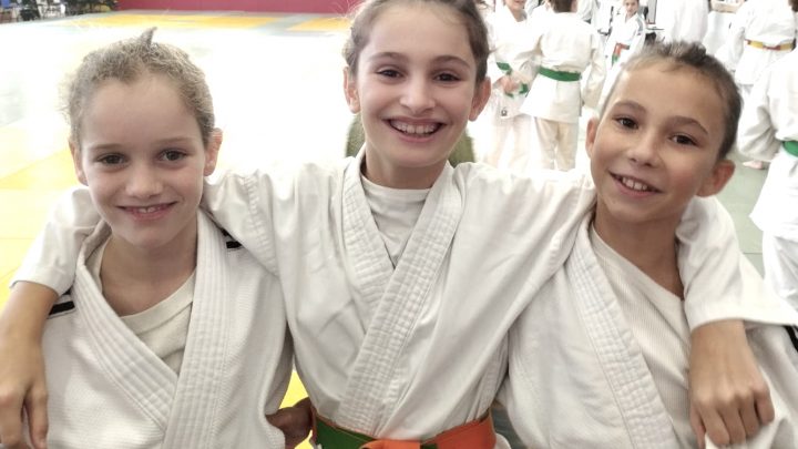 JUDO-CLUB DE MAULEON