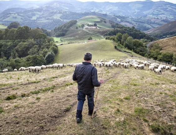 COMMISSION SYNDICALE