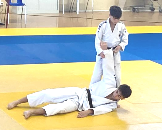 LE JUDO SOULETIN EN VERVE