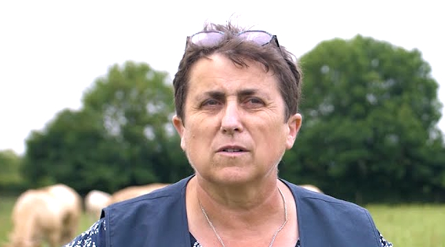 La crise énergétique touche de plein fouet le monde agricole