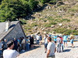 Journée du pastoralisme à Iraty