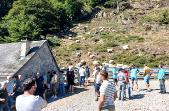 Journée du pastoralisme à Iraty