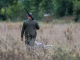 Coup de chaud autour de la chasse