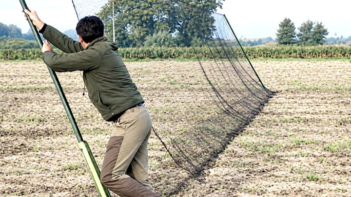 La chasse aux pantes validée !